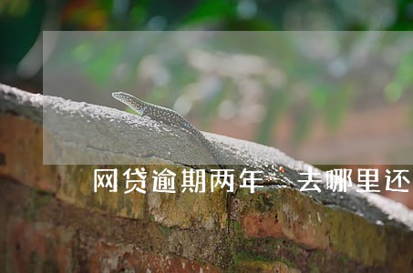 网贷逾期两年 去哪里还钱